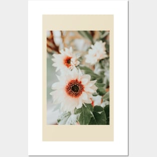 Pastel sunflowers Posters and Art